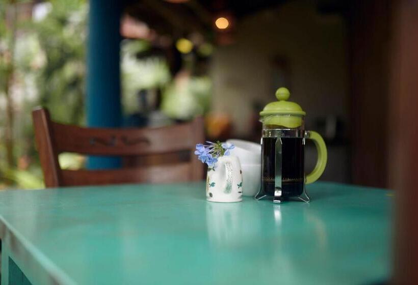 בית מלון כפרי Casa Vana Hiriketiya