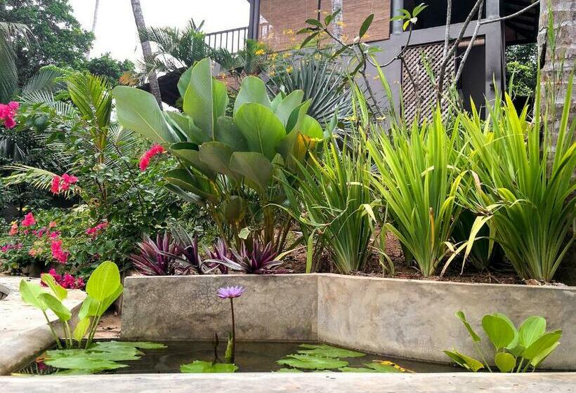 בית מלון כפרי Casa Vana Hiriketiya