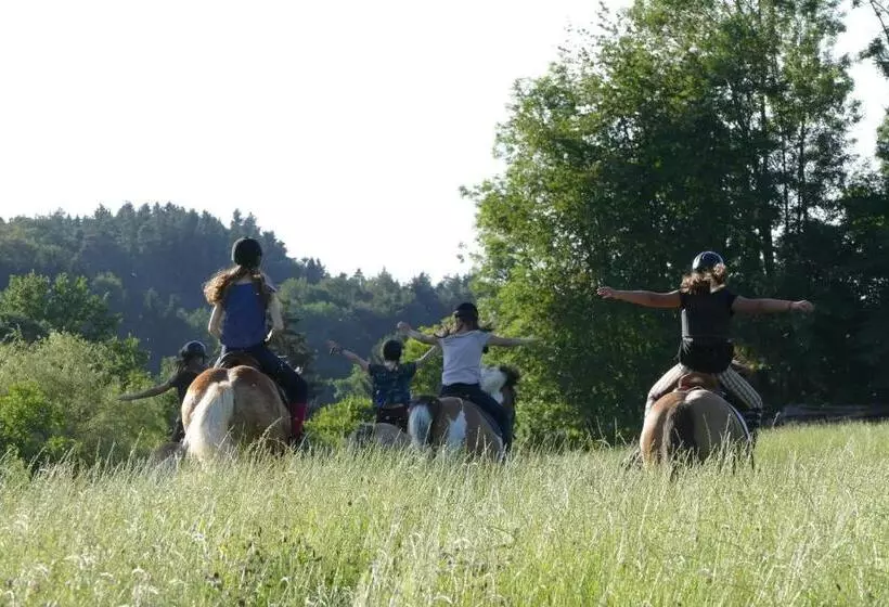Hotelli Ferienhof Mühlthal