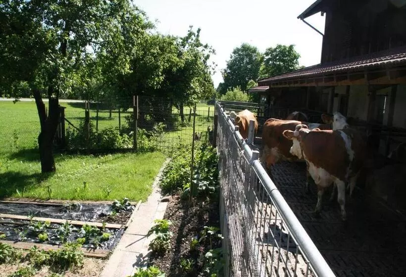 ホテル Kirmeier Hof