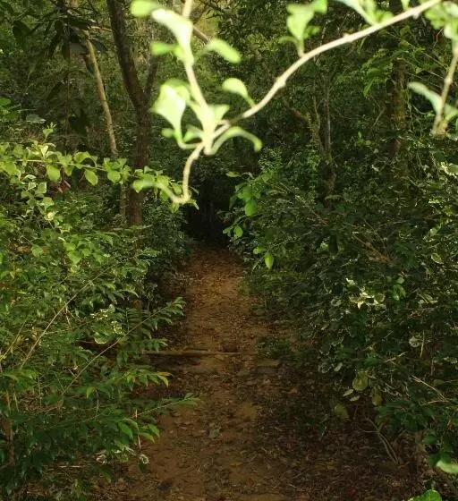 ペンション Hikkaduwa Rest