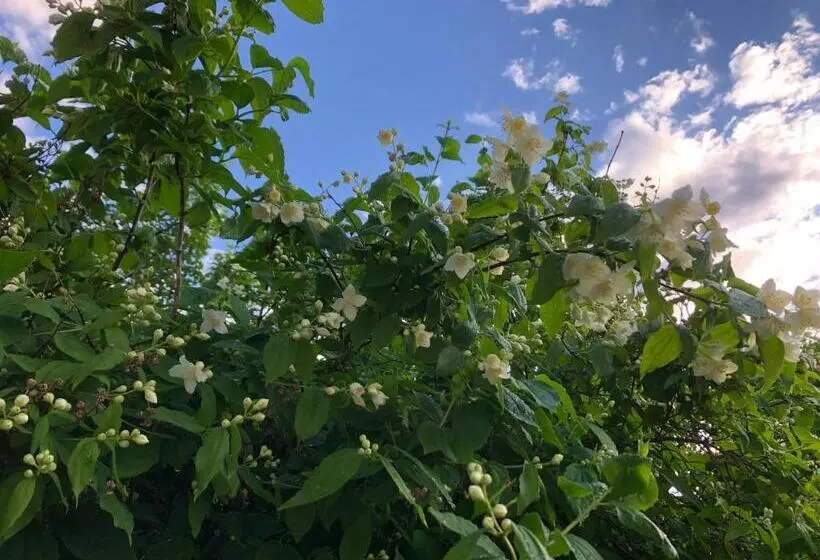 Strandgården Karlstad