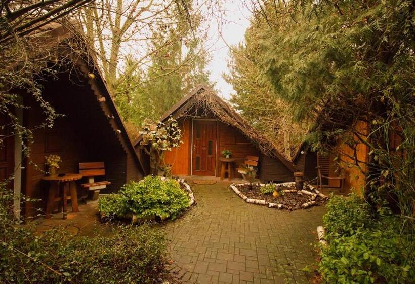 ユースホステル Motel Charlie