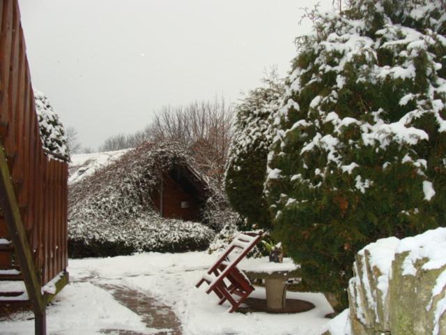 ユースホステル Motel Charlie