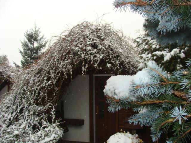 ユースホステル Motel Charlie