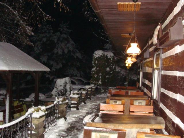 ユースホステル Motel Charlie