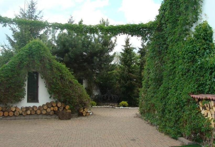 ユースホステル Motel Charlie