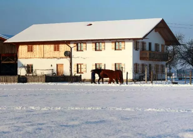 هتل Springerhof