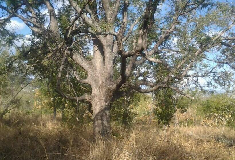 پانسیون Ferme équestre Des Avirons