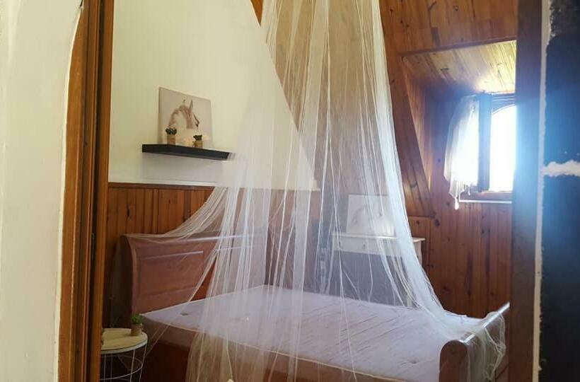 پانسیون Ferme équestre Des Avirons