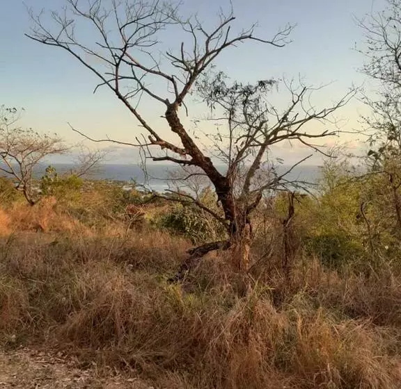 پانسیون Ferme équestre Des Avirons