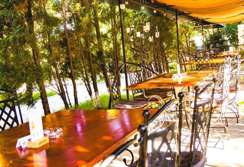 Pensione Vila Europa