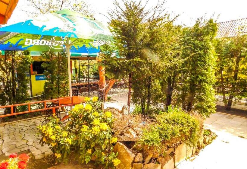 Pensione Vila Europa