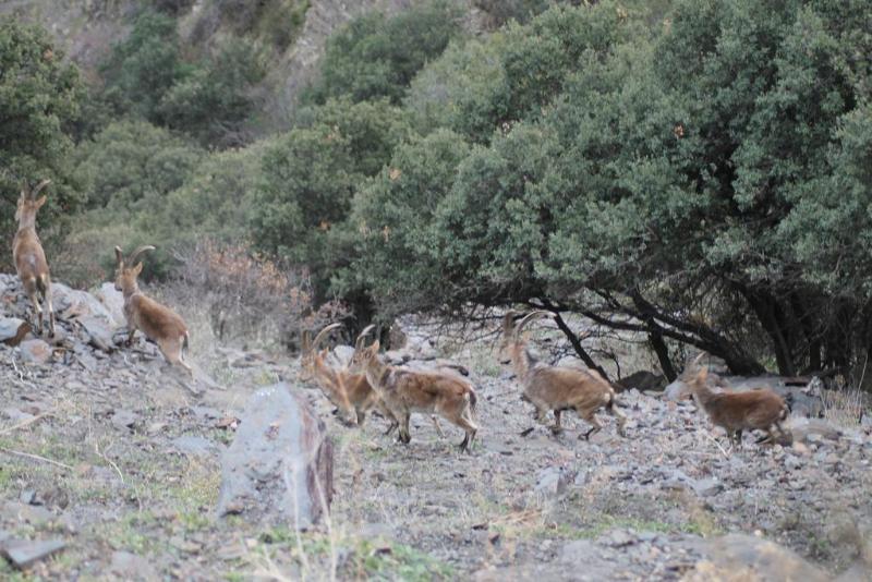 Casas Rurales Barranco de la Salud