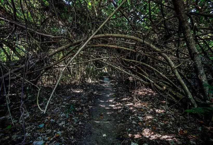 Eco Village Mission Beach