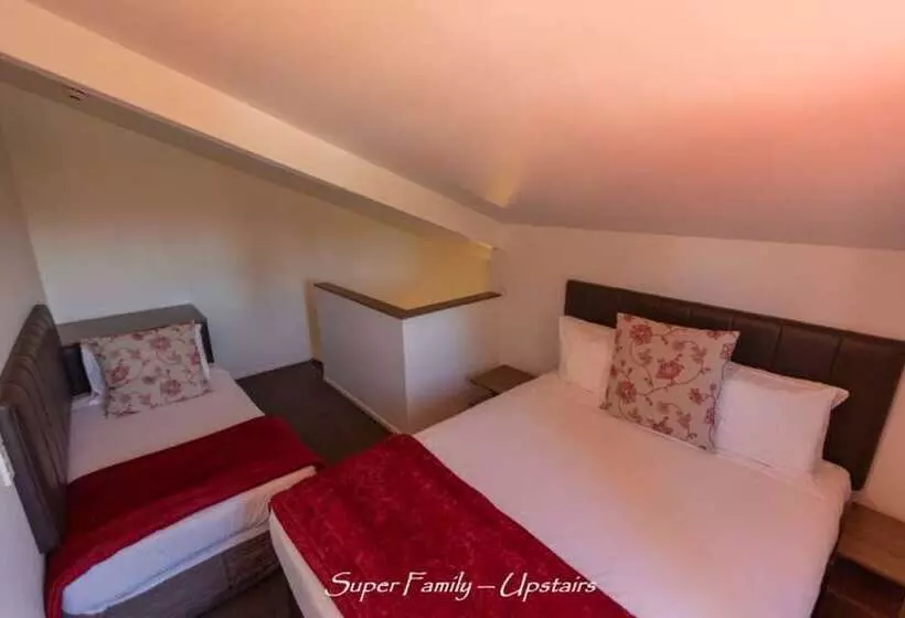 The Park Hotel Ruapehu