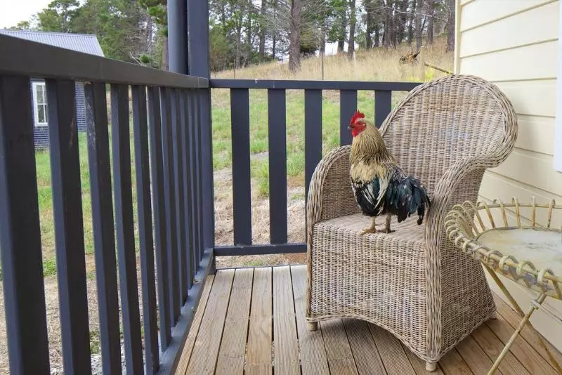 Riversdale Estate Cottages