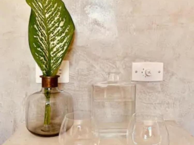 Otel Apartments & Suites Madre Holbox Selfcheck In