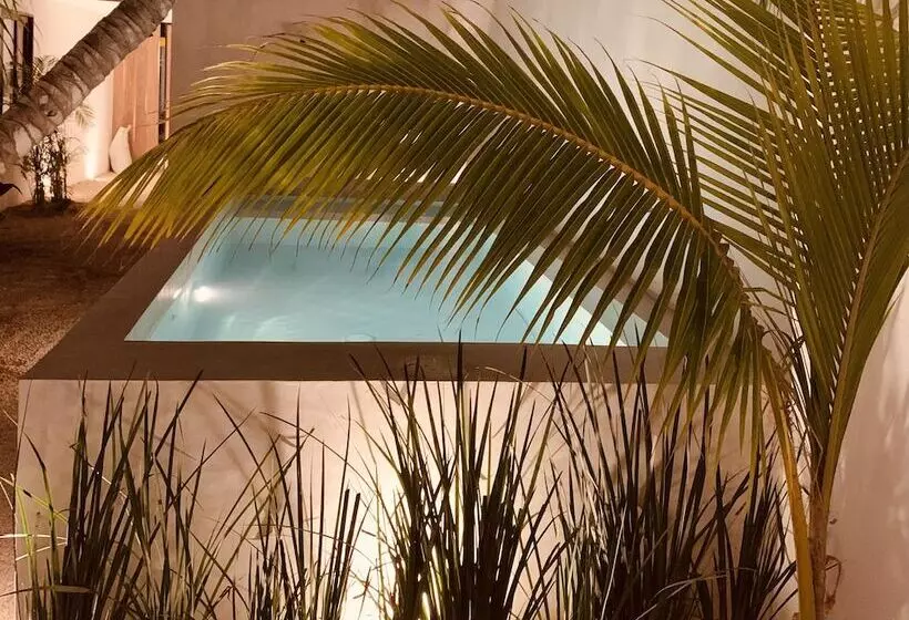 ホテル Apartments & Suites Madre Holbox Selfcheck In