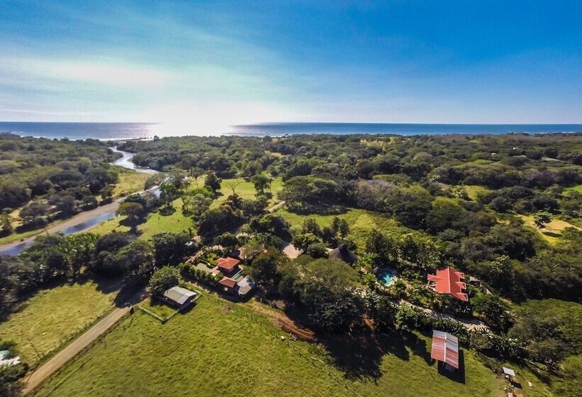 酒店 Marbella Surf Inn