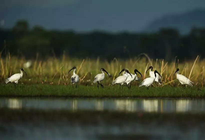 پانسیون Wetlandcamp บ้านชายเล