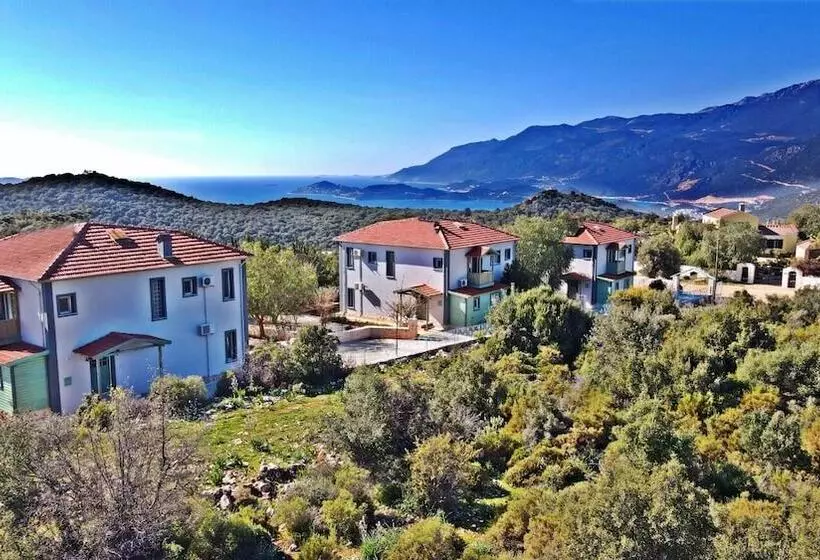 Hotelli Lacitrus Villa