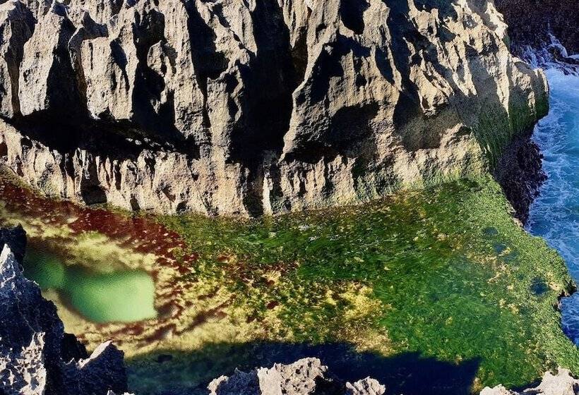 펜션 Jungle Paradise