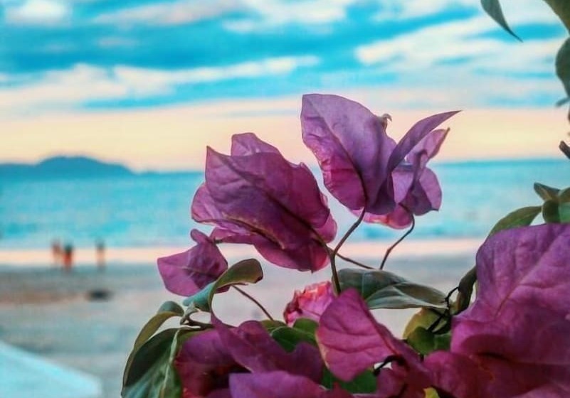 هتل Paradise Resort Doc Let