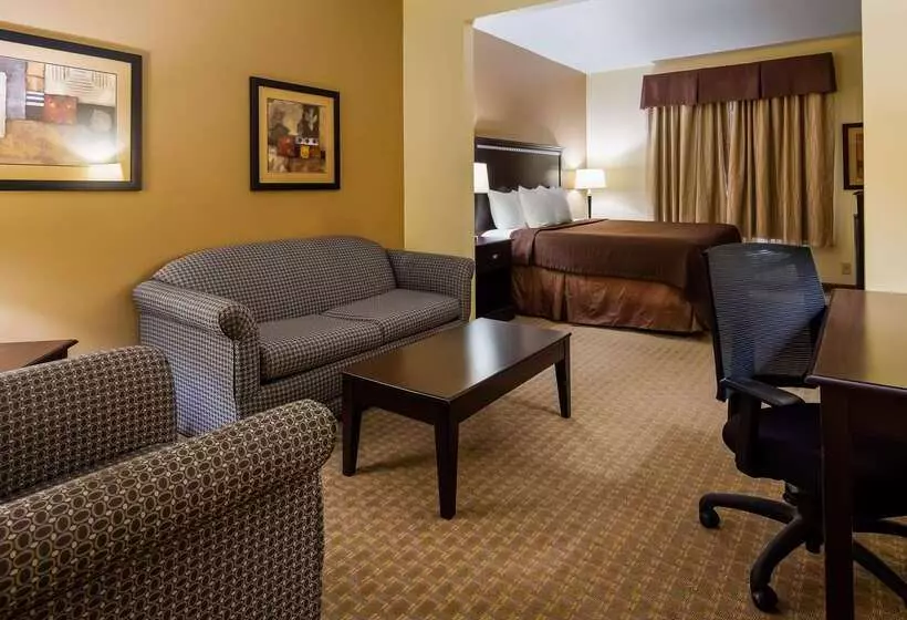 ホテル Best Western Lamesa Inn & Suites