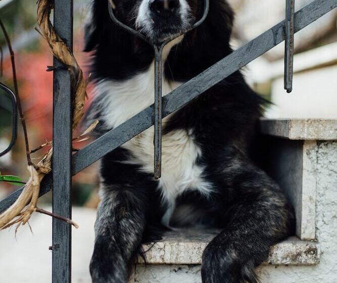 호텔 Cala Di Forno