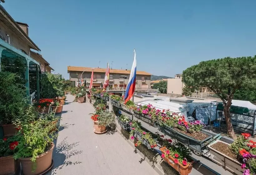 Отель Cala Di Forno