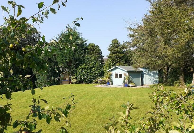 住宿加早餐  The Art Lounge