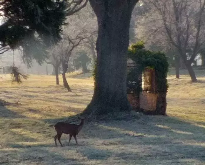 Aamiaismajoitus (B&B) Domaine Berenguer