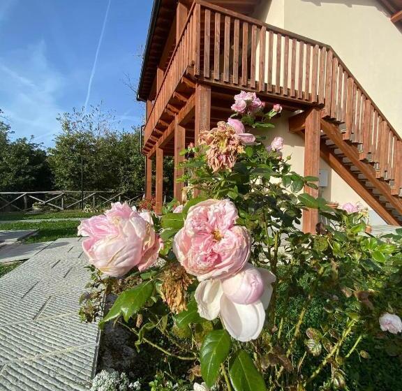 Отель Albergo Diffuso Borgo Retrosi Di Amatrice