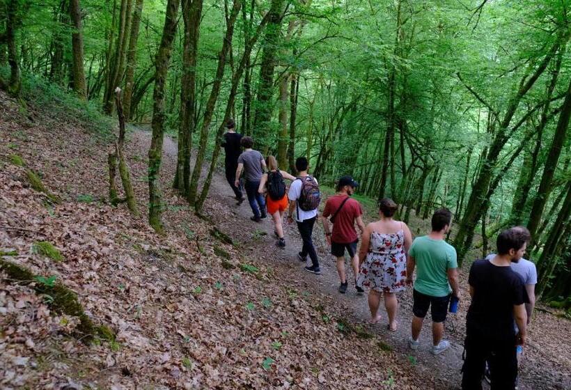 酒店 Auberge Le Vieux Moulin