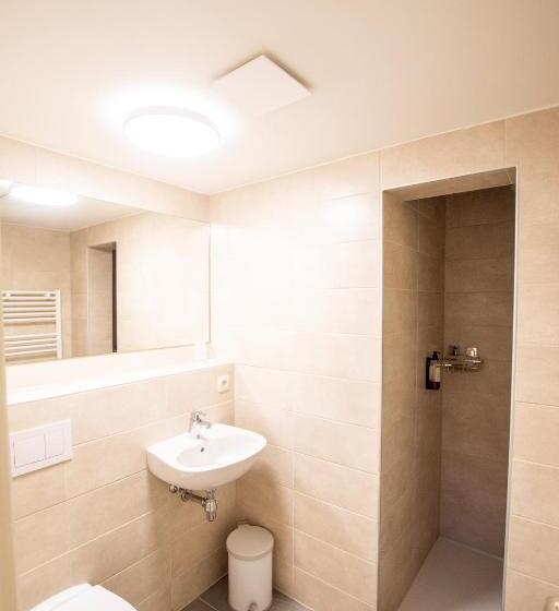 酒店 Auberge Le Vieux Moulin