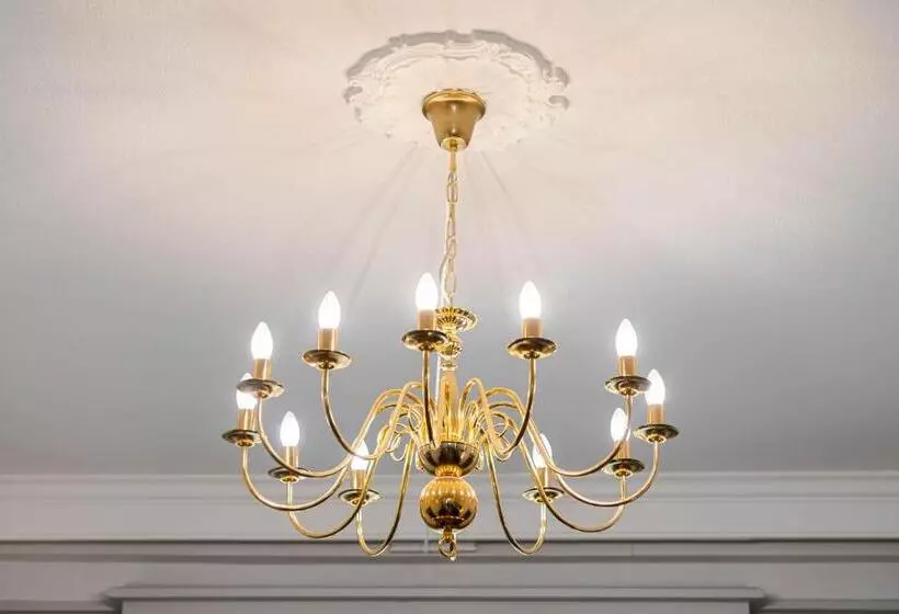 هاستل The Host   Web Check In