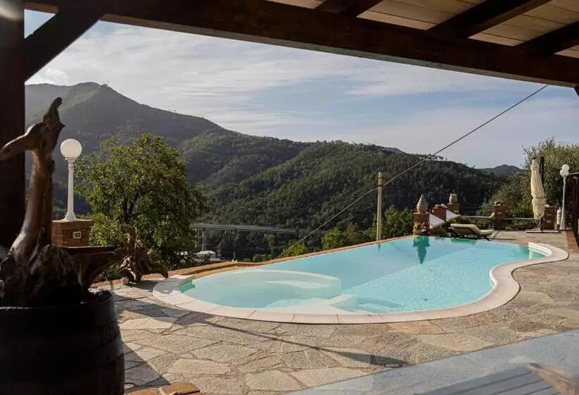 Villa Lice Verici