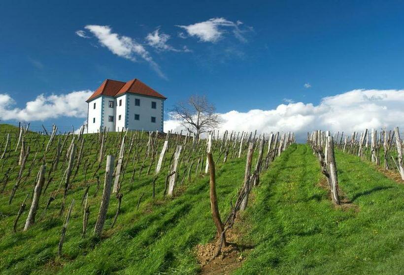 پانسیون Rooms S Center