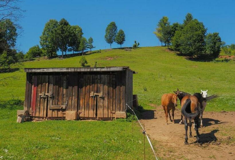 פנסיון Farma Javor