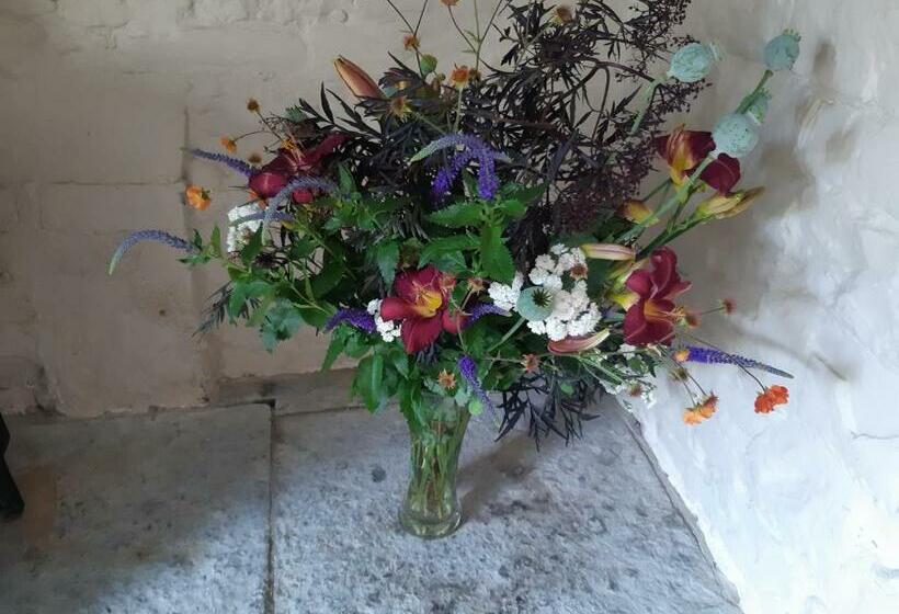 بنسيون Huberts