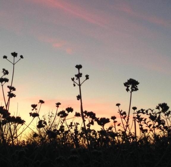 بنسيون Huberts