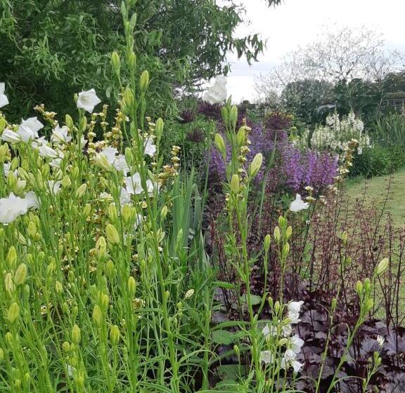 بنسيون Huberts