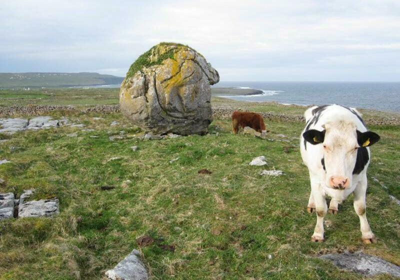 Pensionat Lanelodge  Room Only