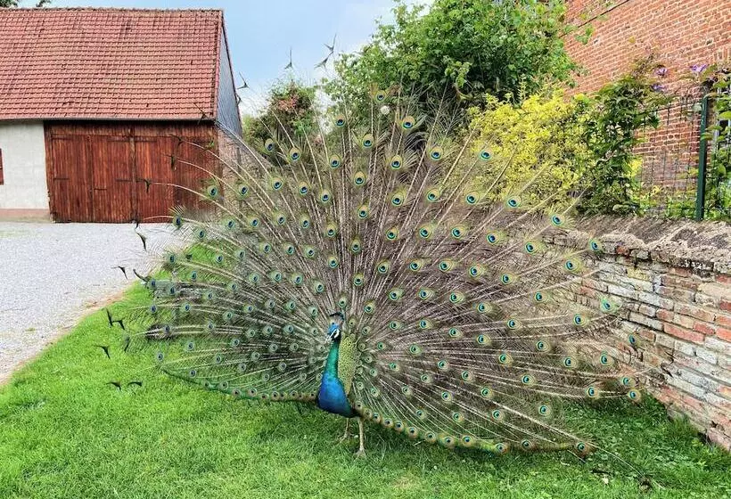 ベッドアンドブレックファースト Château D Aigneville