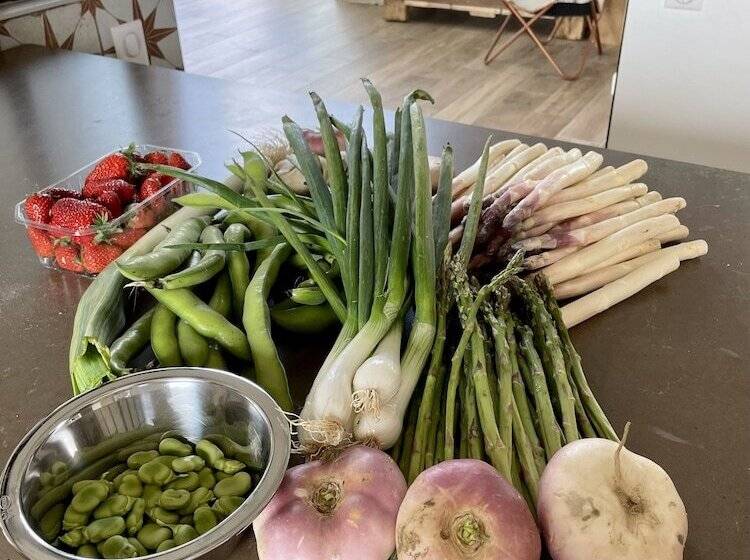 פנסיון Maison D Hôtes De Charme Le Clos De La Fontaine Piscine & Spa