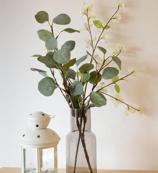 פנסיון Nerissa Suites&rooms