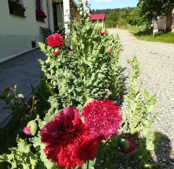 膳宿费 Retro Regina