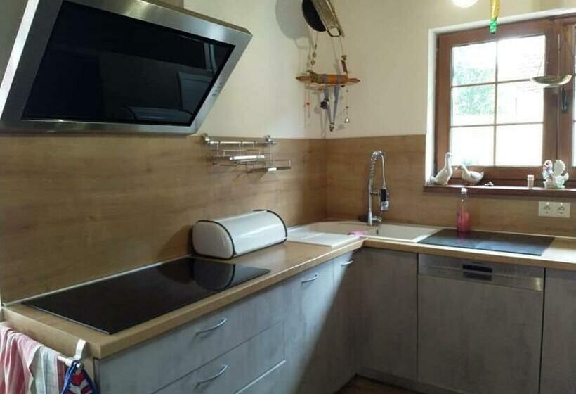 膳宿费 Retro Regina