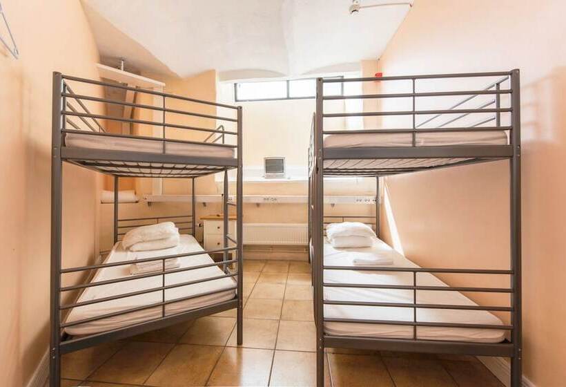 هاستل Nomad Cave